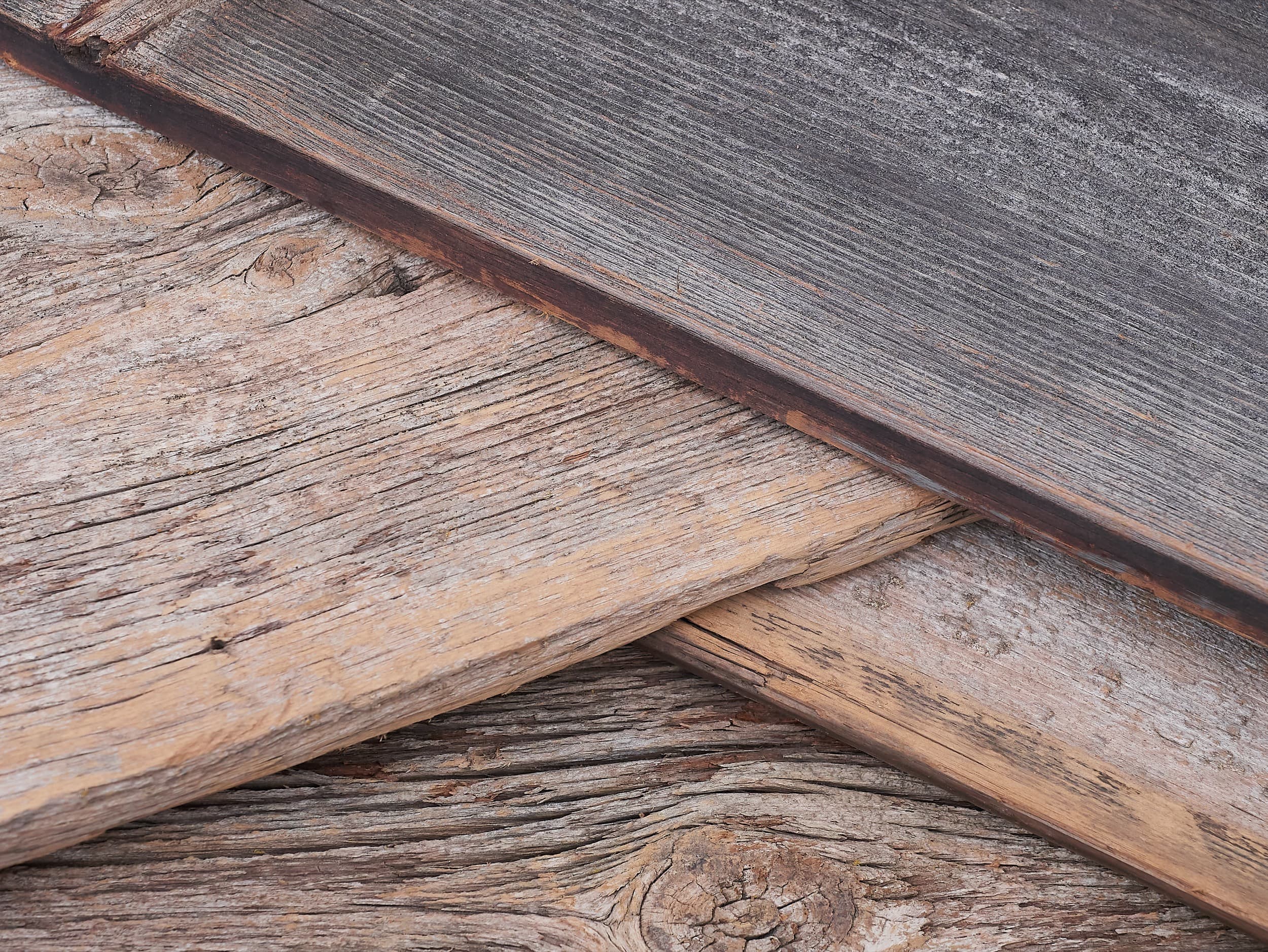 バーンボードパインのイメージ画像